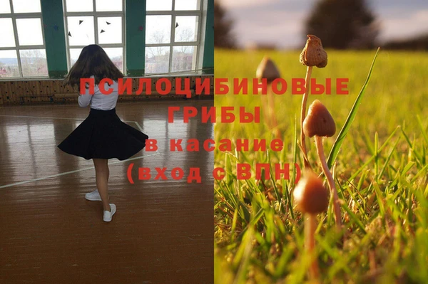 прущие крисы Нефтекумск