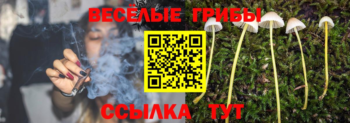 Псилоцибиновые грибы Magic Shrooms  Псилоцибиновые грибы ЛСД  Полысаево  Вход с VPN 